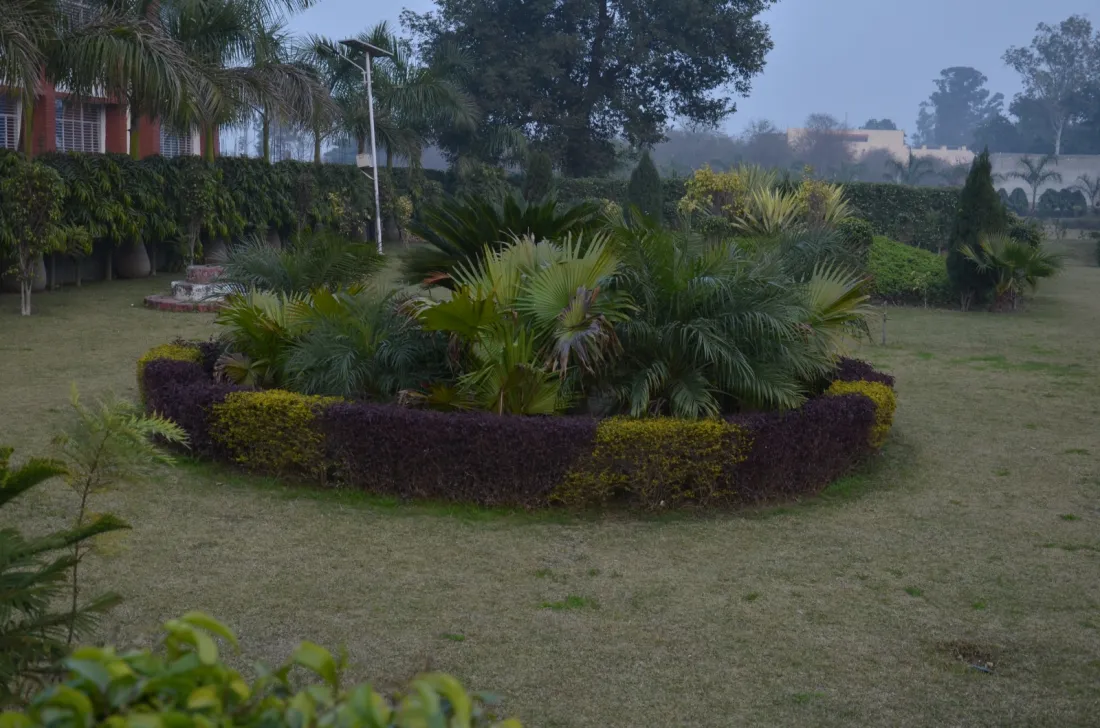 Our Campus